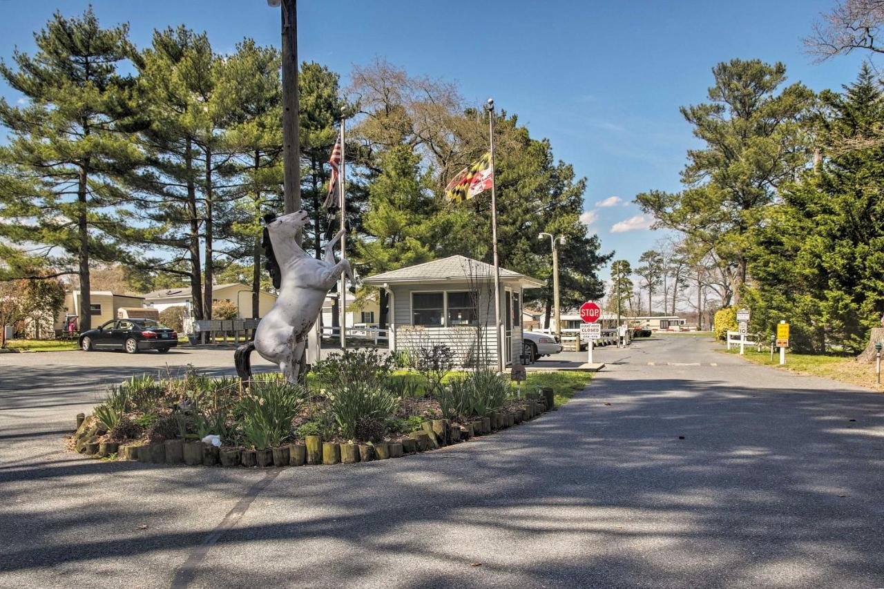 Dog-Friendly Ocean Pines Home With Pool Access! Berlin Exterior photo